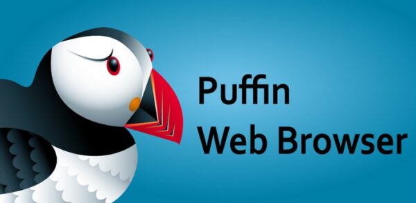 puffin