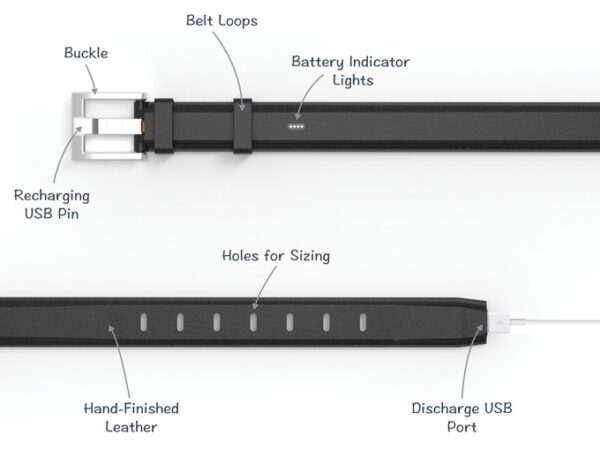 ionbelt