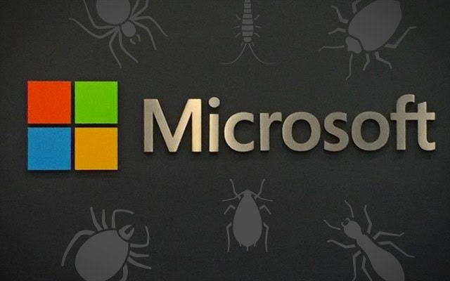 concorso Microsoft bug