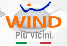 wind google home mini