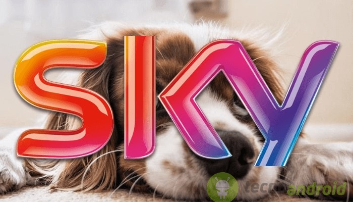 Sky