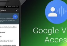 Google voice access app