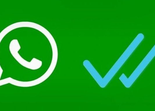 whatsapp offline