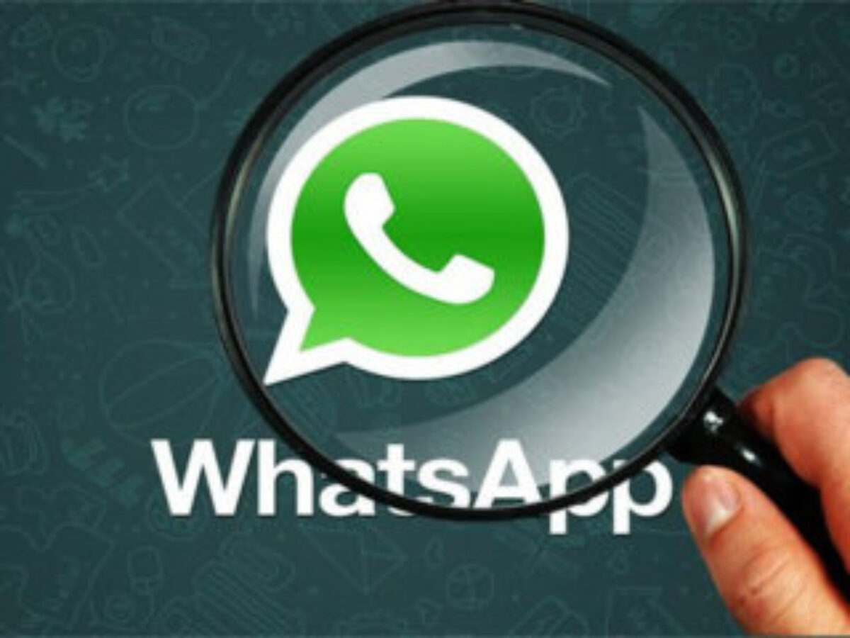 Whatsapp il trucco per spiare le Storie degli amici a loro