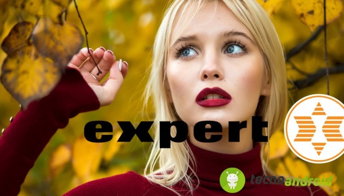 Expert