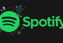 spotify-hulu-nuovo-piano-premium