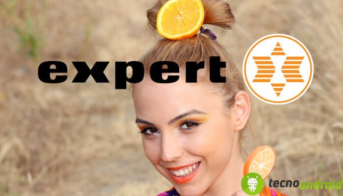 Expert