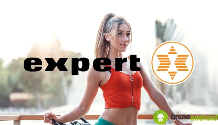 Expert