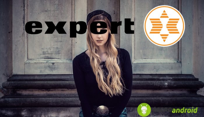 Expert