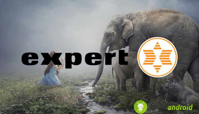 Expert