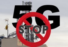 5G causerà estinzione di massa