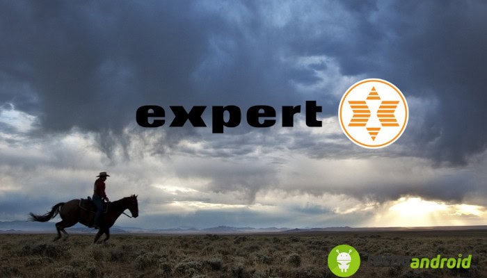 Expert