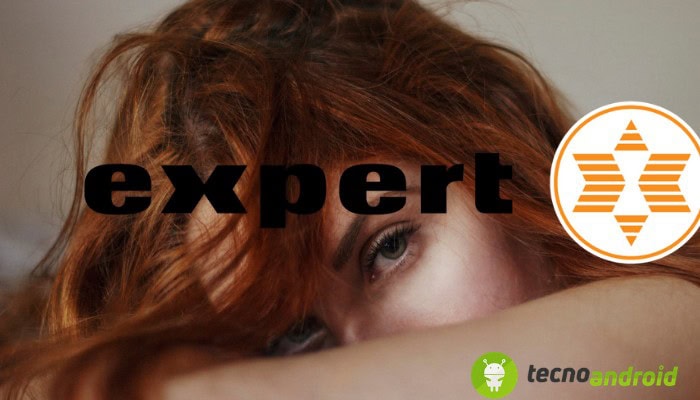 Expert