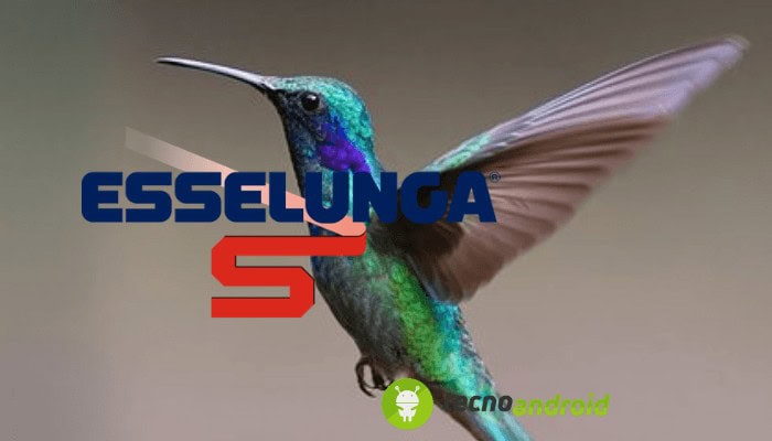 Esselunga