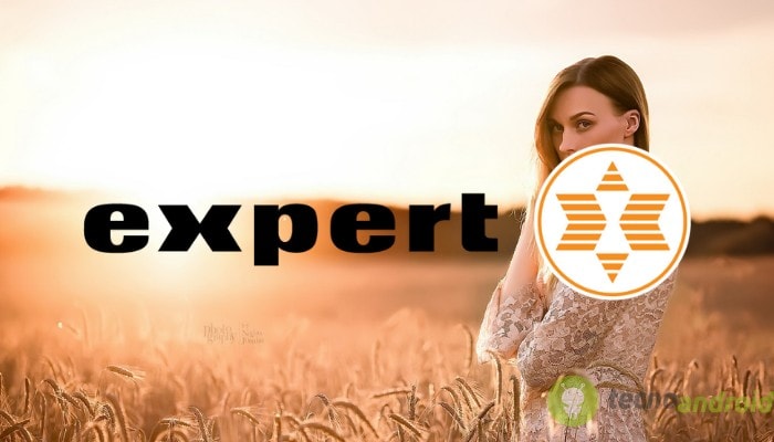 expert