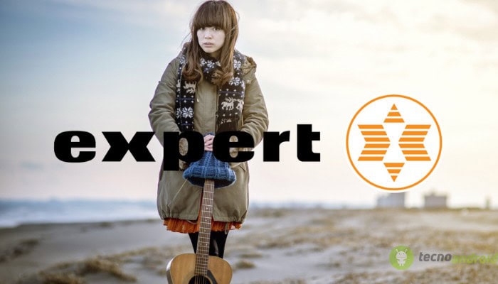 Expert