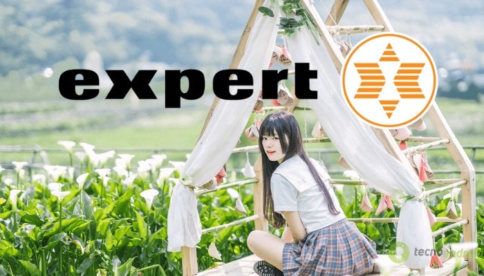 expert