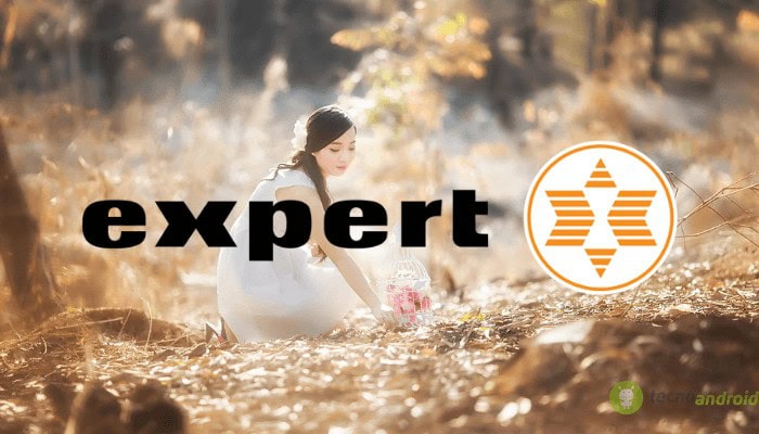 expert