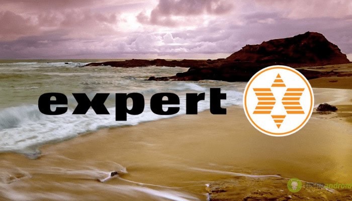 expert