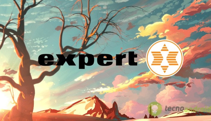 expert