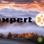 expert