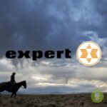 expert