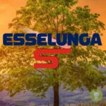 esselunga