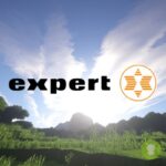 expert