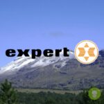 expert