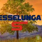 esselunga