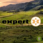 expert