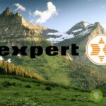 expert