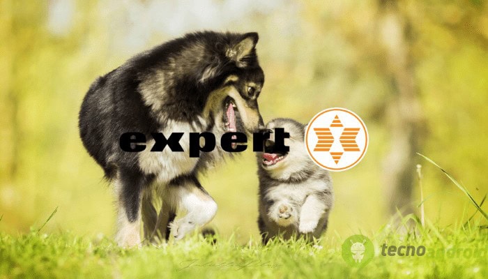 expert