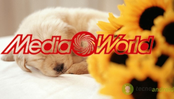 mediaworld