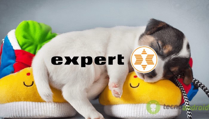 expert