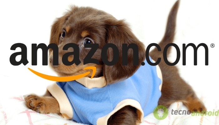 amazon