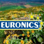 euronics