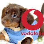 vodafone