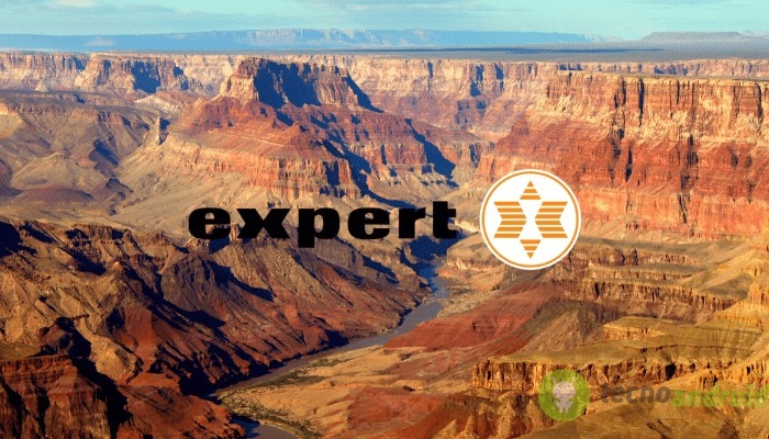 expert