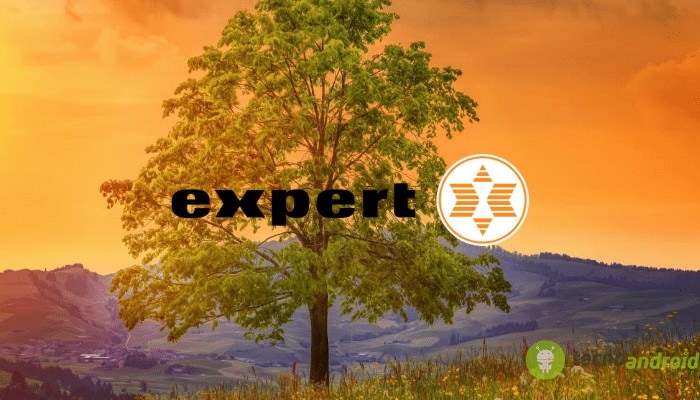 expert