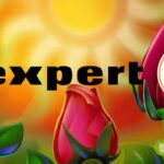 expert