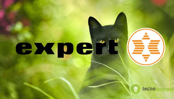 expert