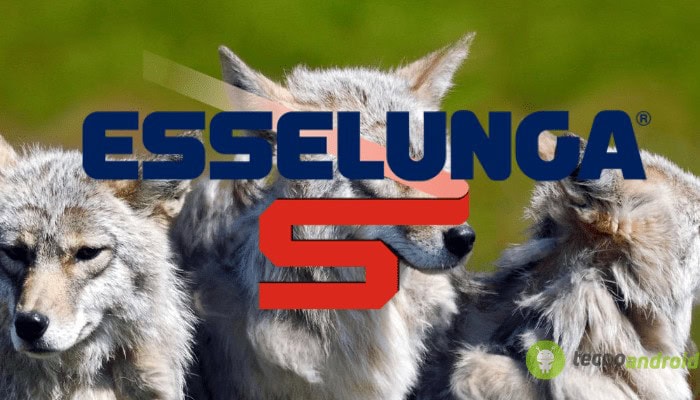 esselunga