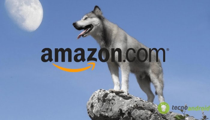 amazon