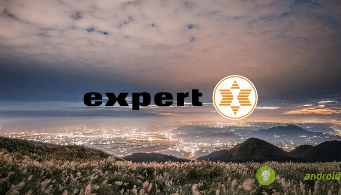 expert