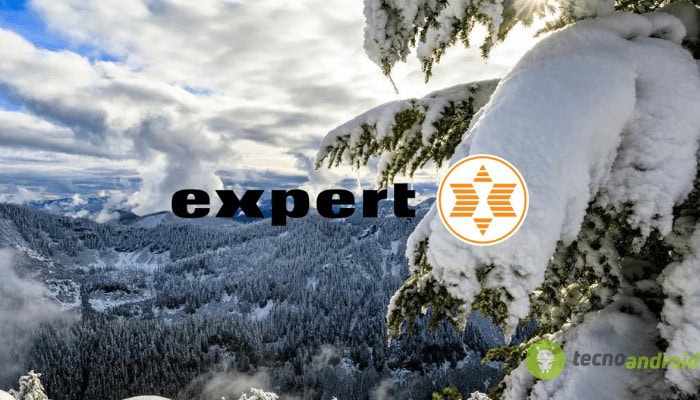 expert