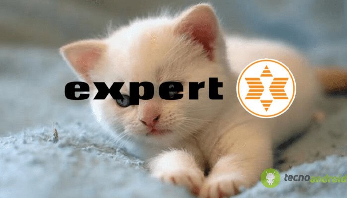 expert