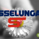 esselunga