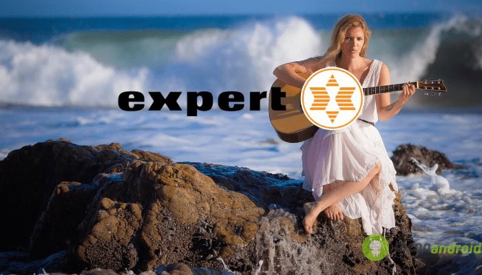 expert