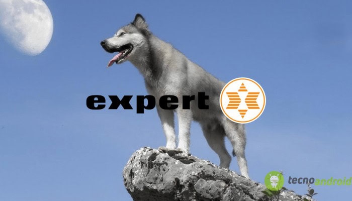 expert